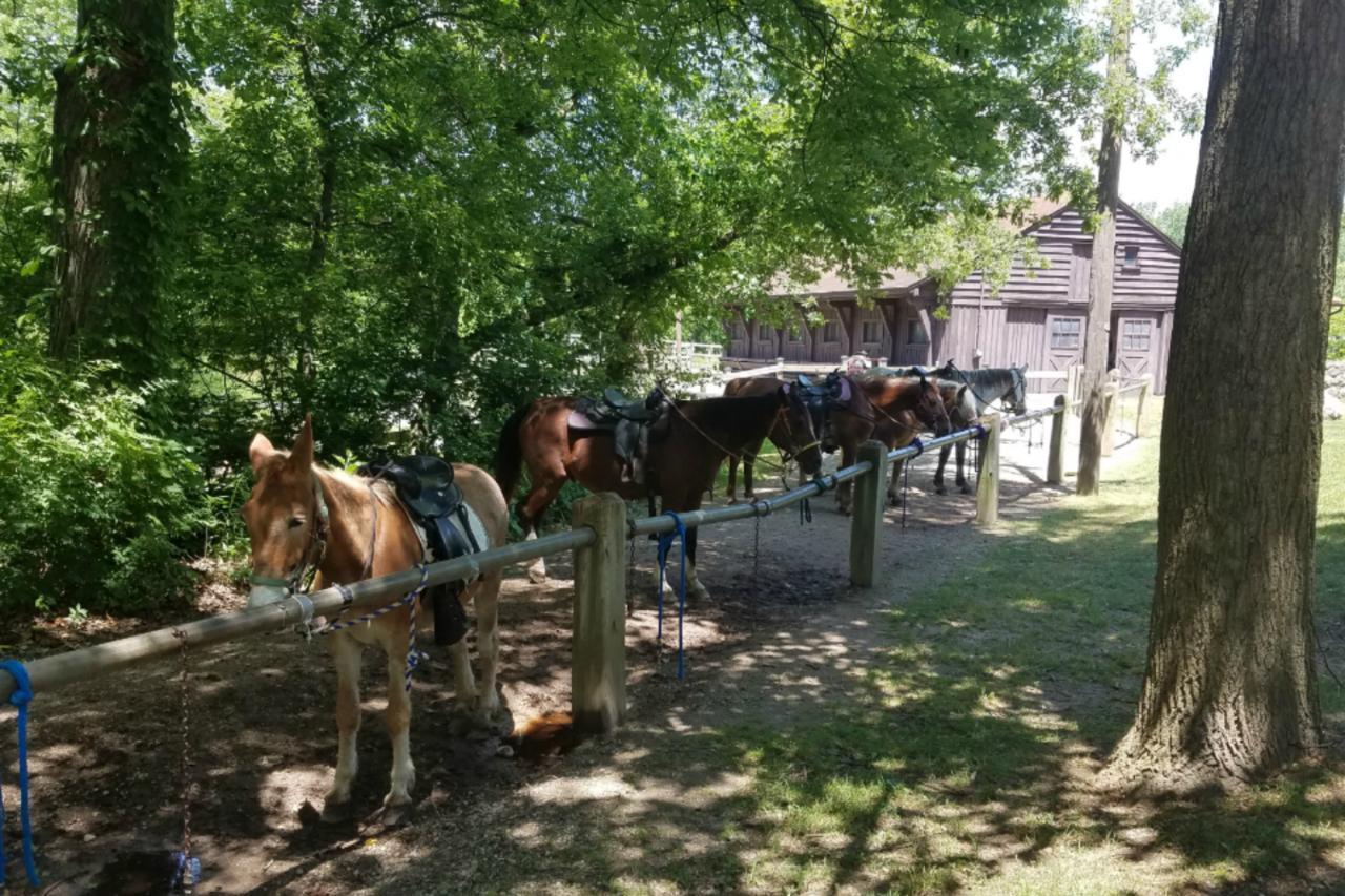Potawatomi Inn & Cabins Ангола Екстериор снимка